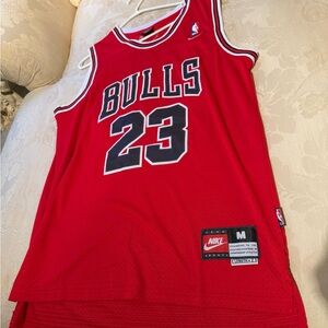Men’s Jordan Bulls jersey